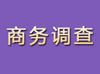 阳江商务调查