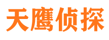 阳江外遇调查取证